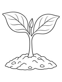 A young plant seedling in this food chain coloring page with broad leaves and soil.