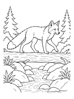 A wild fox coloring page showing the animal walking across a log over a rocky stream.