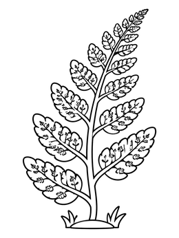 Free printable Simple Botanical Fern Frond coloring page