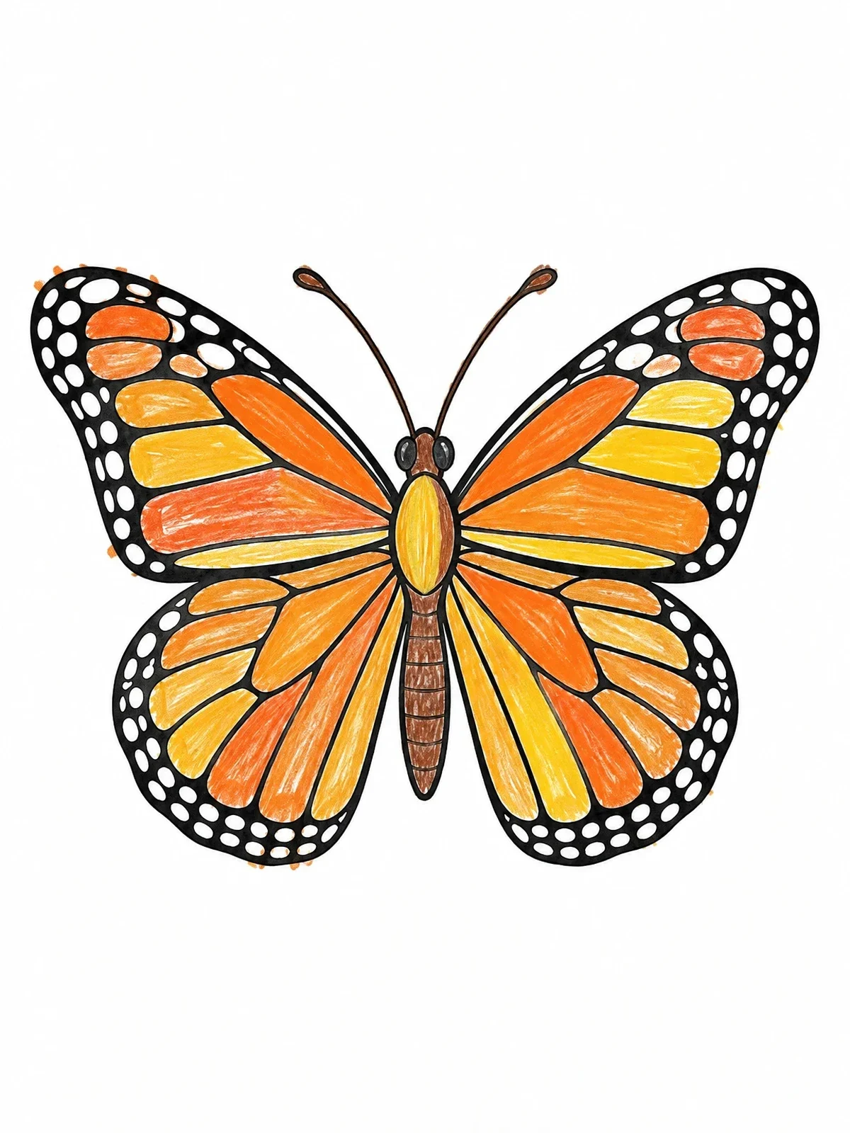 Colored example of the Detailed Monarch Butterfly In Flight coloring page