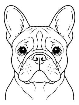 Detailed french bulldog coloring page showing face wrinkles and bat ears.