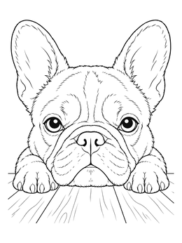 A close-up french bulldog coloring page showing a pup resting its head and paws on a wooden floor.