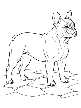 An alert dog stands outside in this detailed french bulldog coloring page.