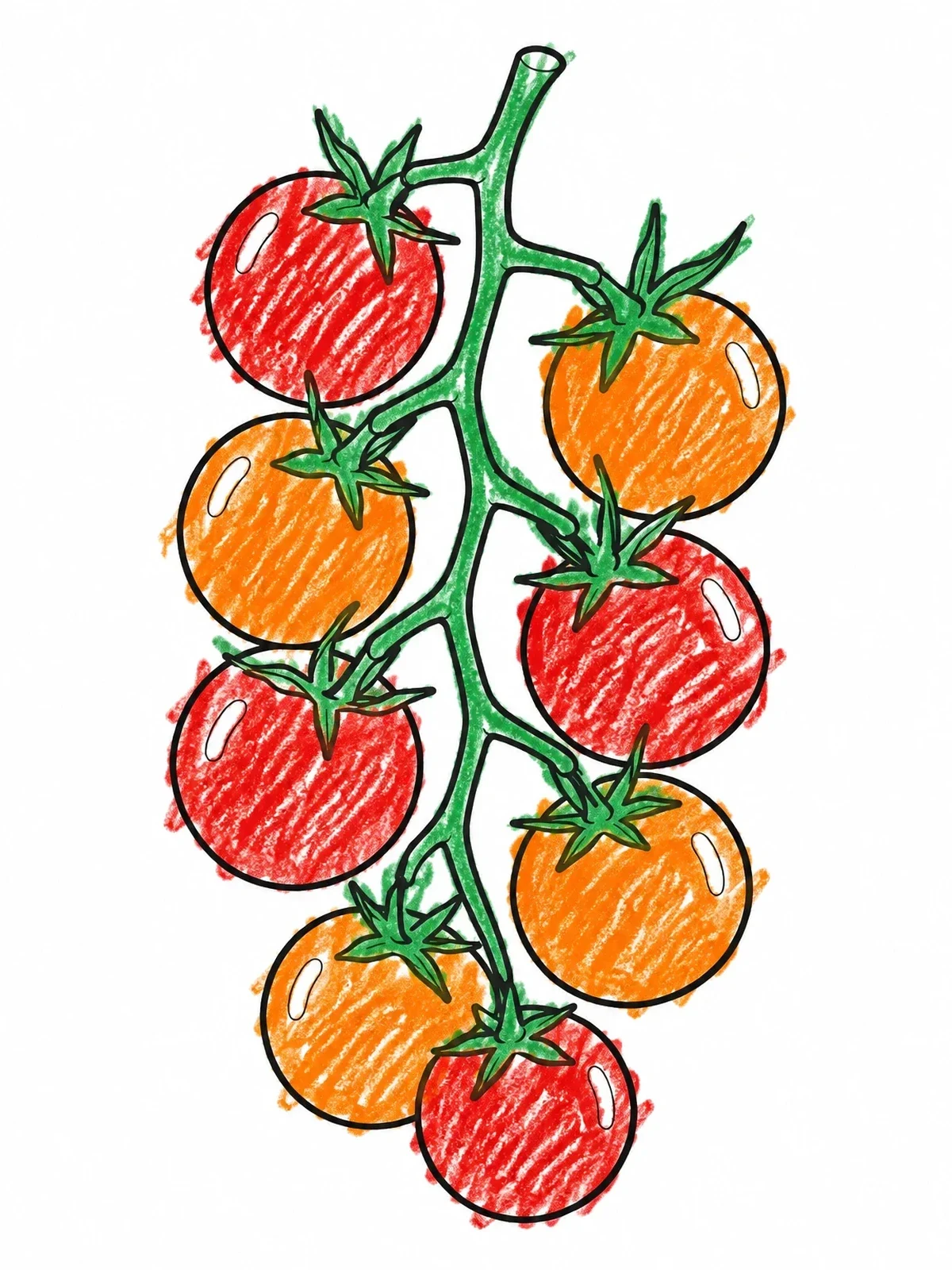 Colored example of the Fresh Cherry Tomatoes On The Vine coloring page