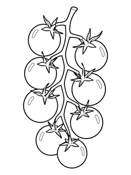 A plump cluster of vine-ripened fruit in this tomato coloring page.