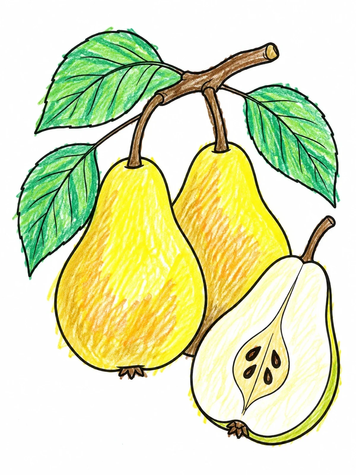 Colored example of the Fresh Pears On Branch With Slice coloring page
