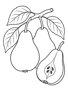 A detailed pears coloring page showing fruit on a leafy branch beside a halved pear.