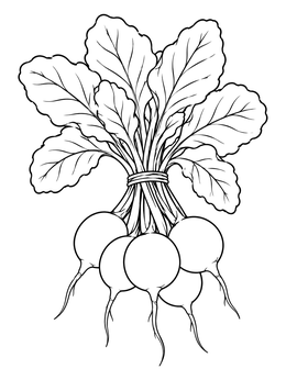 Free printable Fresh Radish Bunch With Leaves coloring page