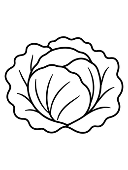 Free printable Fresh Round Cabbage Head coloring page