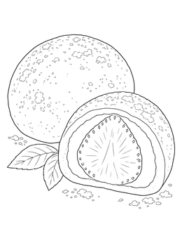 A realistic mochi coloring page showing a whole daifuku and one sliced in half with a strawberry inside.