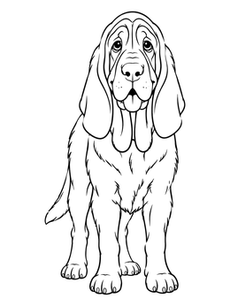 Free printable Friendly Standing Bloodhound Dog coloring page