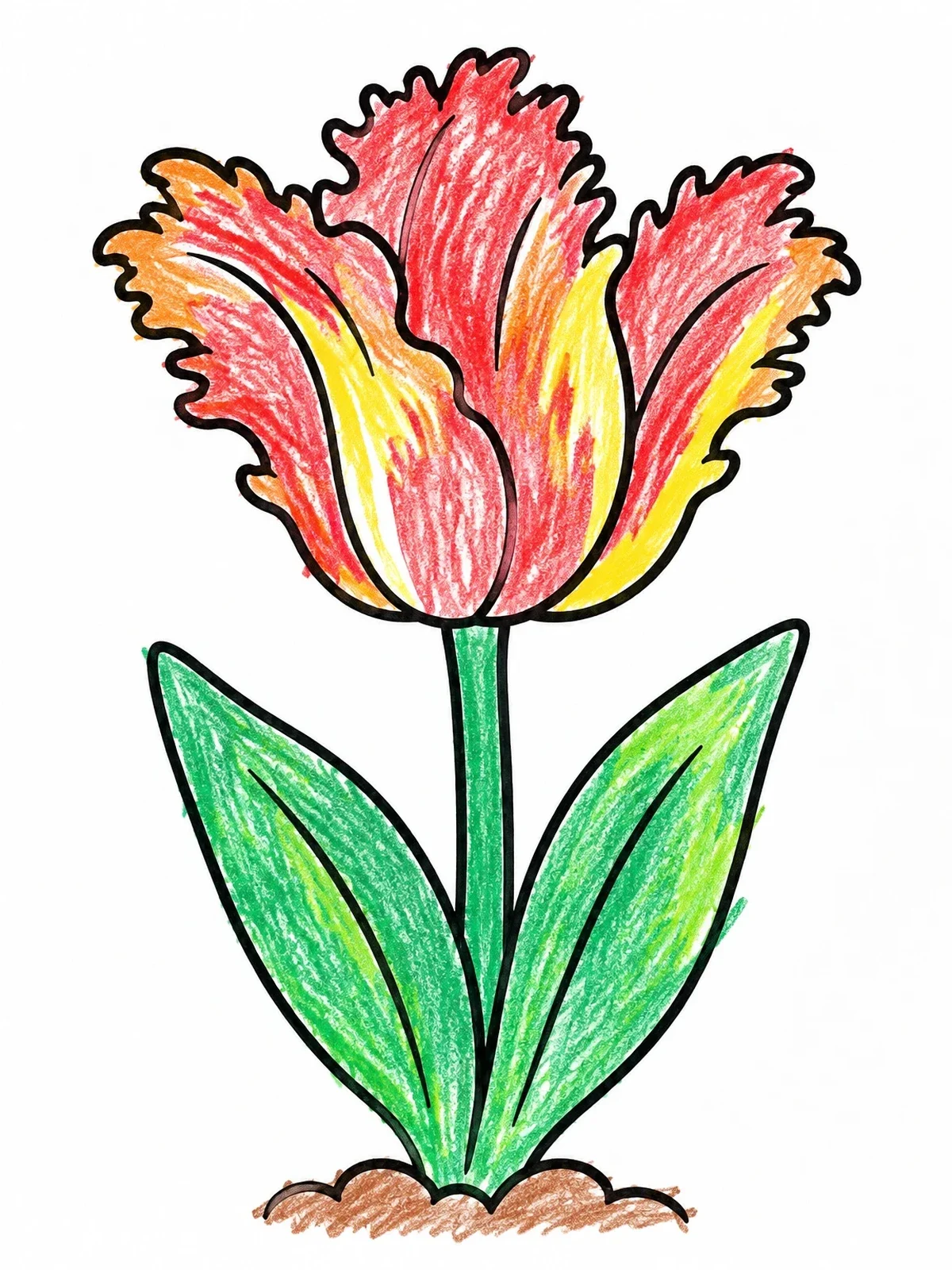 Colored example of the Fringed Parrot Tulip Bloom coloring page