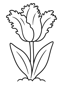 A simple parrot tulip coloring page with ruffled petals and two leaves.