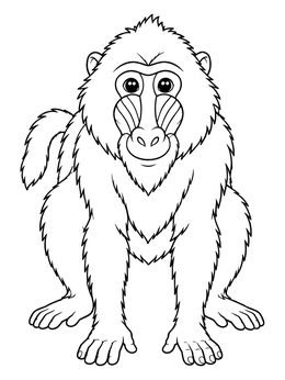 A front view of an alert animal in this baboon coloring page.