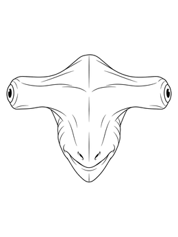 Detailed hammerhead shark coloring page showing a head-on view of its wide cephalofoil.