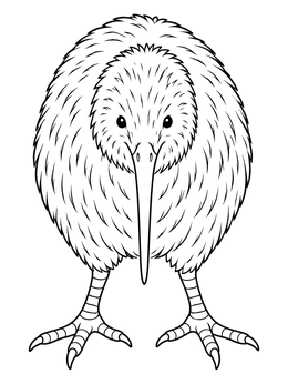 Free printable Front View Of A Kiwi Bird coloring page