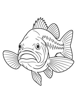 A detailed bass coloring page featuring a largemouth bass swimming forward with fins spread wide.