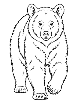 A black bear coloring page showing a furry bear walking forward with detailed paws.