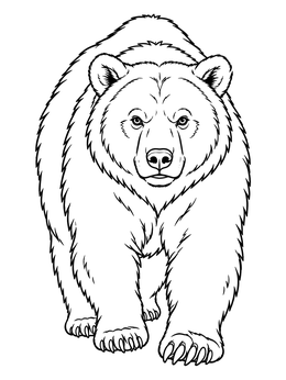 Front view of a powerful grizzly on this brown bear coloring page.