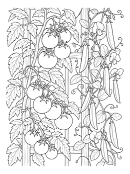 Free printable Garden Trellis With Tomatoes And Peas coloring page
