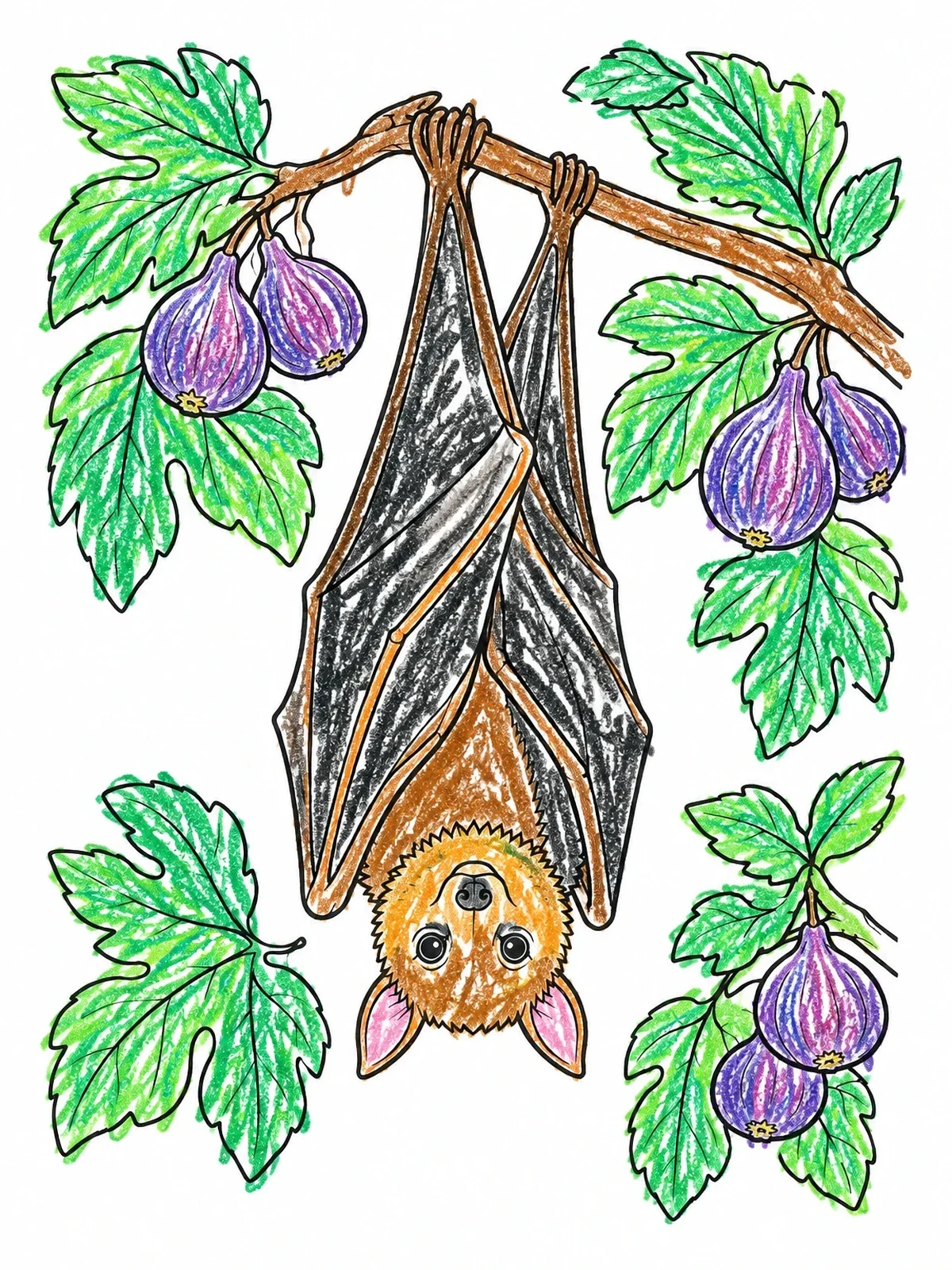 Colored example of the Fruit Bat Hanging From Fig Branch coloring page