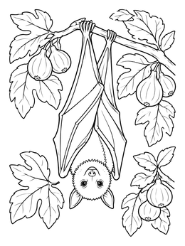 Detailed bat coloring page featuring a cute fruit bat hanging upside down among leaves and figs.