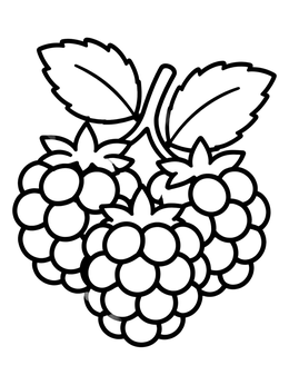 A sweet cluster of blackberries with leaves on a fruit coloring page.