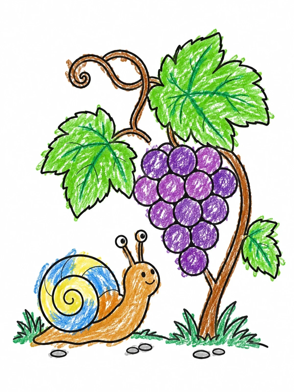 Colored example of the Patient Snail Beside Grapes coloring page