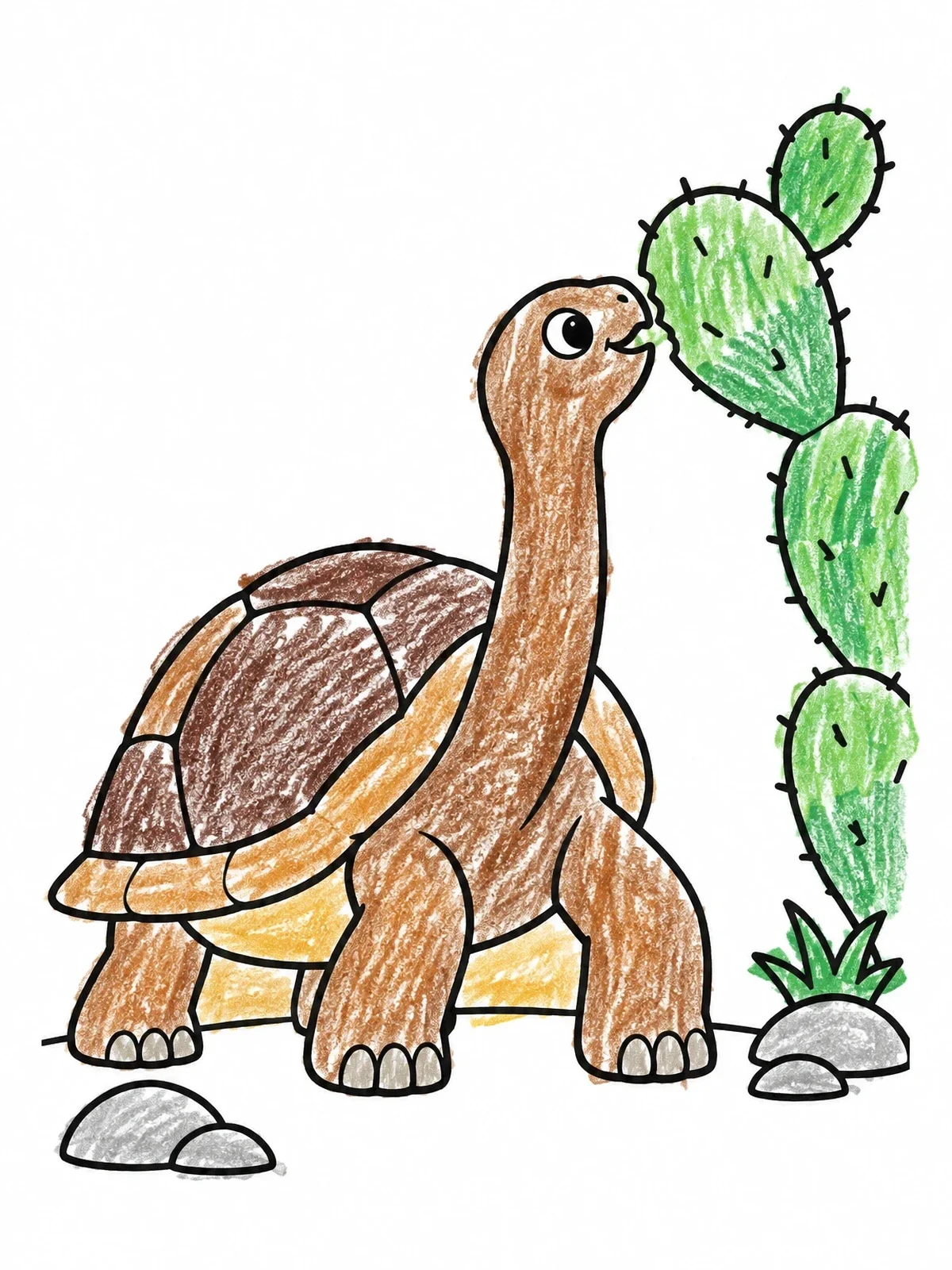 Colored example of the Galapagos Tortoise Eating A Cactus coloring page