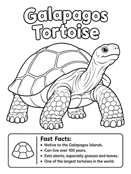 A friendly giant reptile in this educational Galapagos tortoise coloring page.