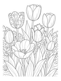 A detailed tulip coloring page featuring various fringed and classic tulip blooms in a garden bed.