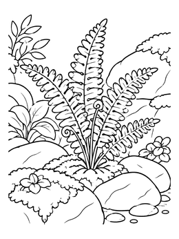 Free printable Garden Fern Among The Rocks coloring page
