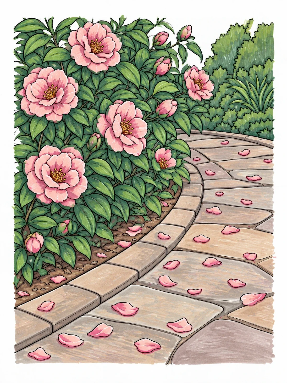 Colored example of the Garden Path With Fallen Flower Petals coloring page