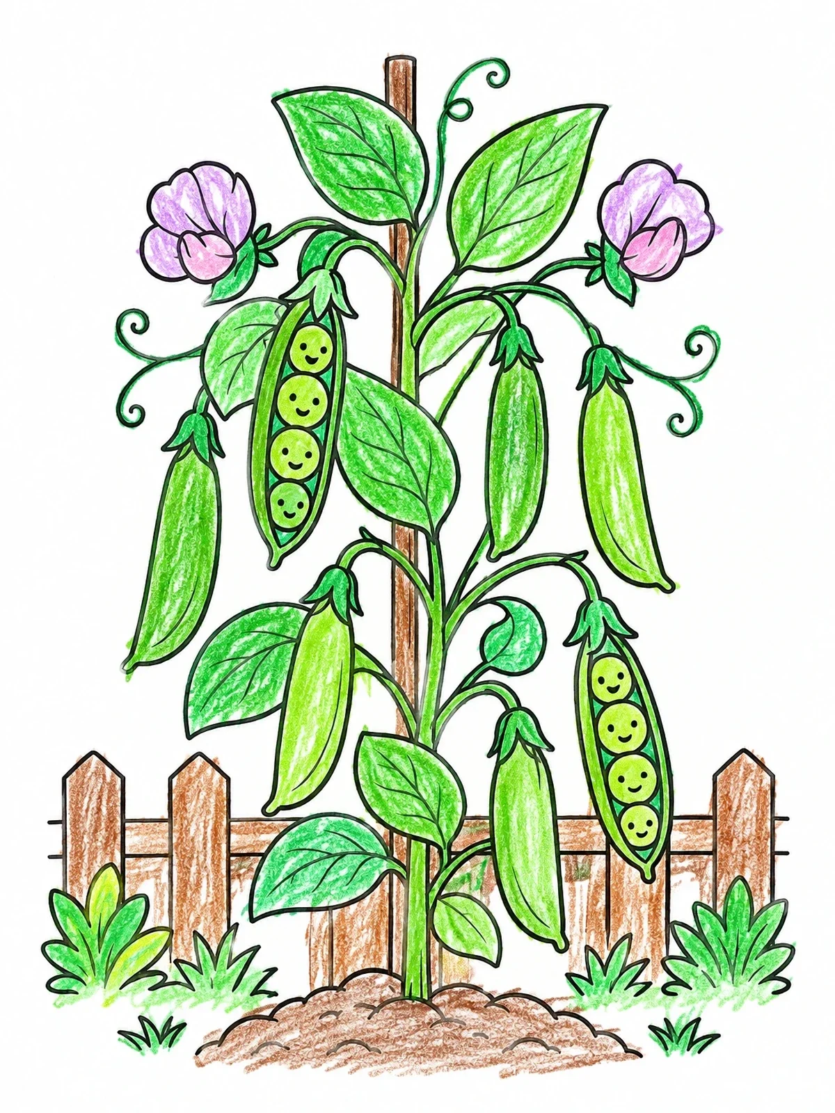 Colored example of the Garden Pea Vine With Smiling Peas coloring page