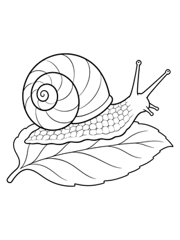 Free printable Garden Snail With Swirl Shell On Leaf coloring page