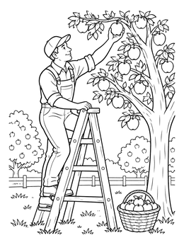 A friendly gardener coloring page showing a man on a wooden ladder picking ripe apples.