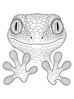 A close-up gecko coloring page featuring detailed eyes and textured suction toes.