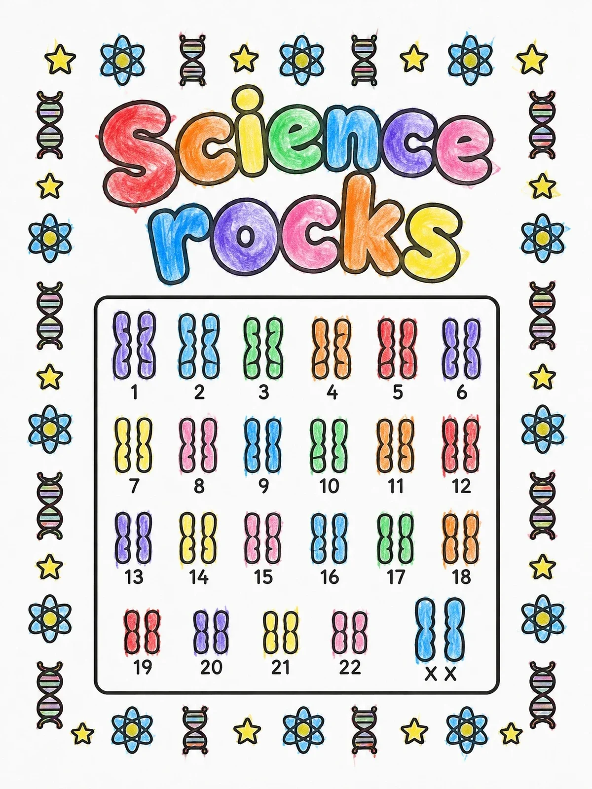 Colored example of the Science Rocks Karyotype Chart coloring page