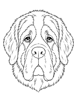 Free printable Gentle Saint Bernard Portrait coloring page