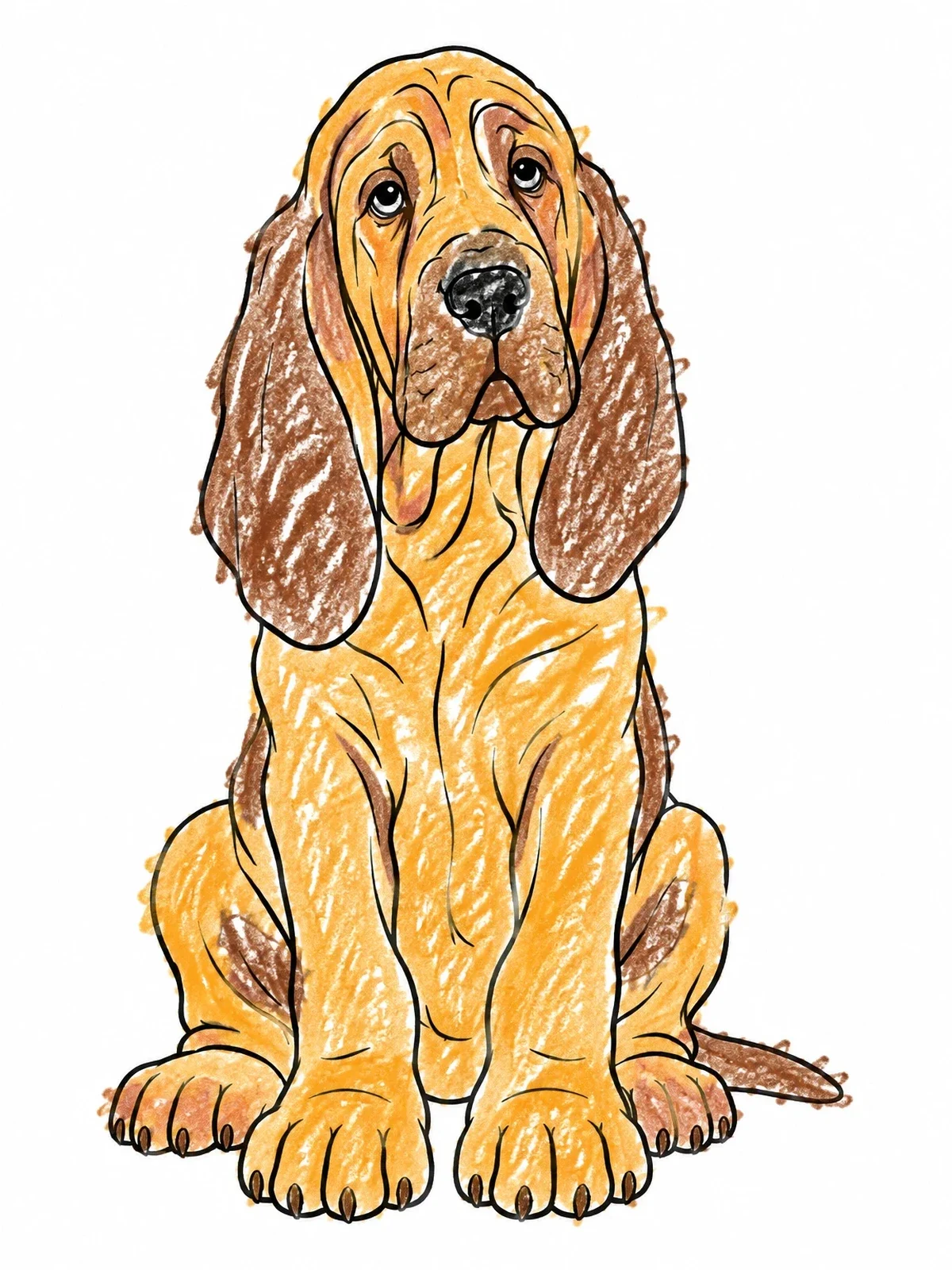 Colored example of the Gentle Sitting Bloodhound Puppy coloring page