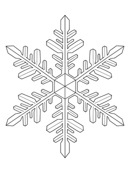 A detailed geometric snowflake coloring page with six symmetrical branching arms.
