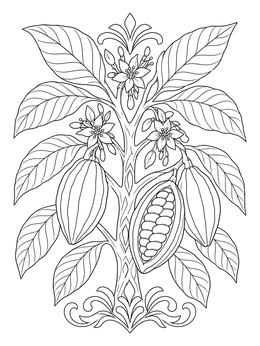 Free printable Ghana Cocoa Tree With Pods coloring page