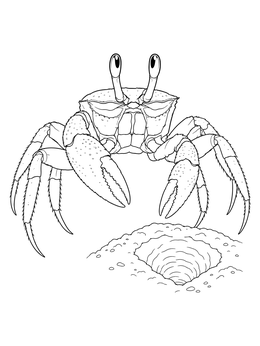 Detailed crab coloring page showing a ghost crab with large eyestalks standing by its burrow.