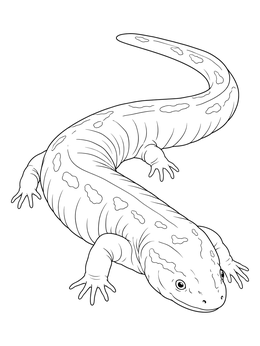 A giant salamander creature crawls forward in this cryptid coloring page.