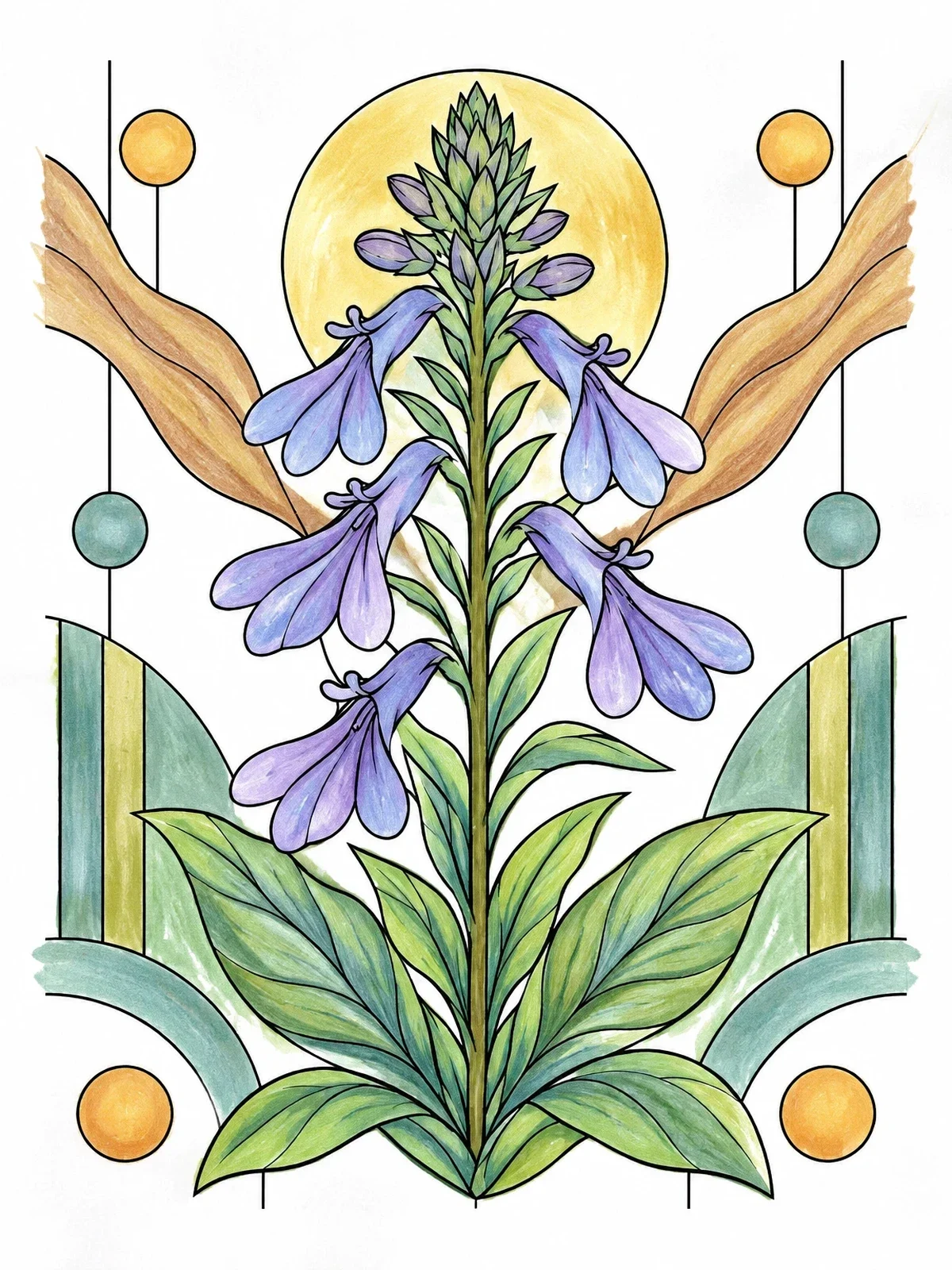 Colored example of the Giant Lobelia Botanical Illustration coloring page