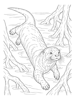Free printable Giant River Otter In The Mangroves coloring page
