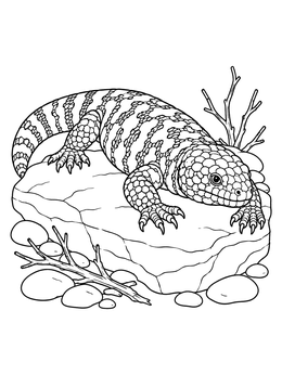 A detailed gila monster coloring page showing the beaded lizard resting on a smooth desert rock.