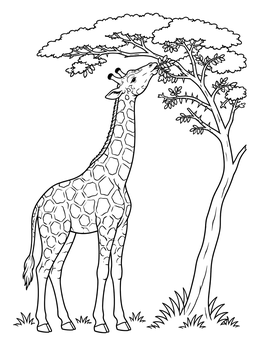 A tall giraffe coloring page showing the animal browsing high leaves of an acacia tree.