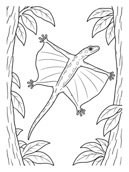 A gliding flying lizard coloring page framed by rainforest trees and tropical leaves.