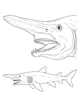 Free printable Goblin Shark Profile And Head Study coloring page